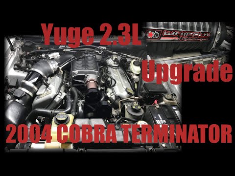 2.3L Whipple Supercharger Upgrade on a 2004 Mustang Cobra Terminator