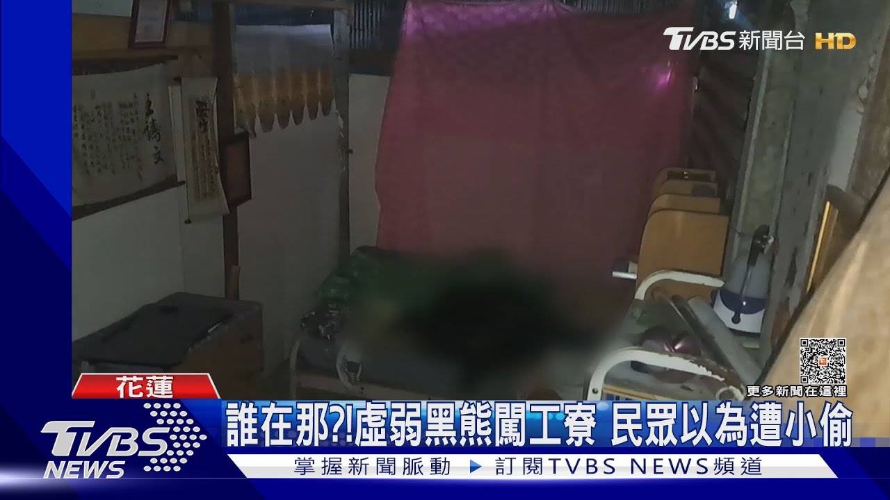 誰在那？虛弱黑熊闖工寮　民眾以為遭小偷