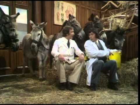 Doctor in Charge Series 2  Ep 5 The Garden Fete