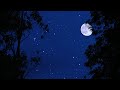 Cricket Conversations Nighttime Ambience For Relaxation Meditation And Deep Sleep 10 Hours