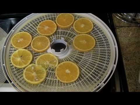 download lagu mp3 mp4 How To Dehydrate Oranges, download lagu How To Dehydrate Oranges gratis, unduh video klip How To Dehydrate Oranges