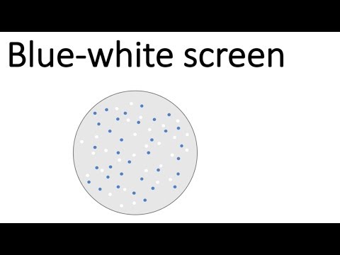 Blue-White Screen & Transformation