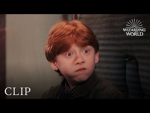 "Oculus Reparo" Hermione Fixes Harry's Glasses