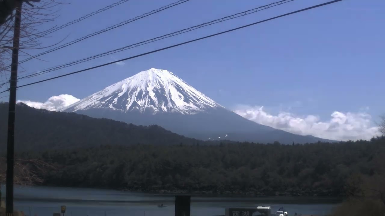 西湖ライブカメラ タイムラプス映像（2026年4月3日） 提供：UTYテレビ山梨