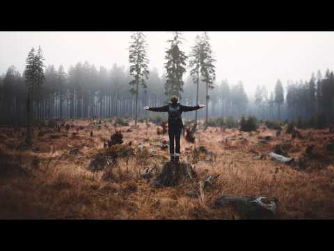 Blinded Hearts & Jake Cooper - Fly (feat. Cammie Robinson)