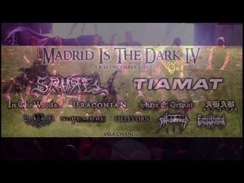 PHLEBOTOMIZED  Mellow are the reverberations