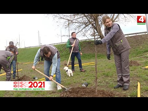 Сквер из лиственных деревьев заложили нефтяники видео