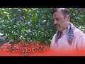 Naresh S Water Pumpu Comedy Scene Shathamanam Bhavathi