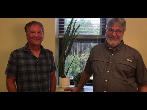 Dialogue parents-intervenants - Initiative Perspectives parents