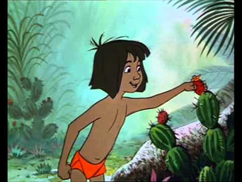 Kniha džunglí - Moudrost medvědí