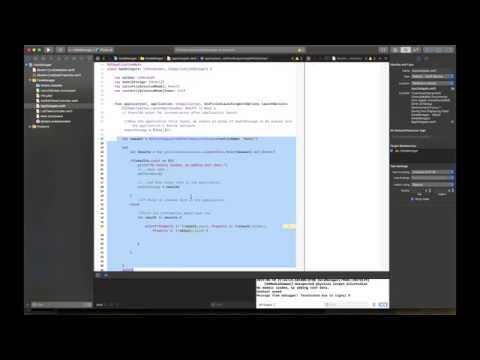 iOS App Development - Using a CoreData Template