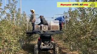 Ny Rali 600 fruktplockningsplattform | Bild 4 - Agroline