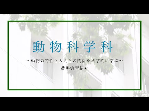 動物科学科 日本獣医生命科学大学　動物科学科説明#2　農場実習紹介【WEBオープンキャンパス】