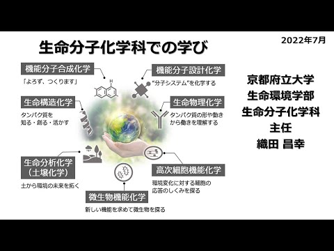 生命分子化学科での学び