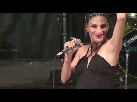 La Clave Trio | "El Anacleto del Viento" - En Vivo