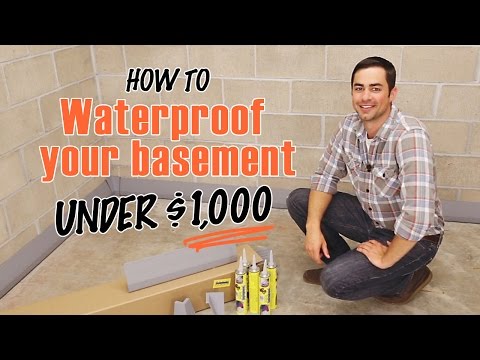 How to Waterproof a Basement | DIY SquidGee Dry System