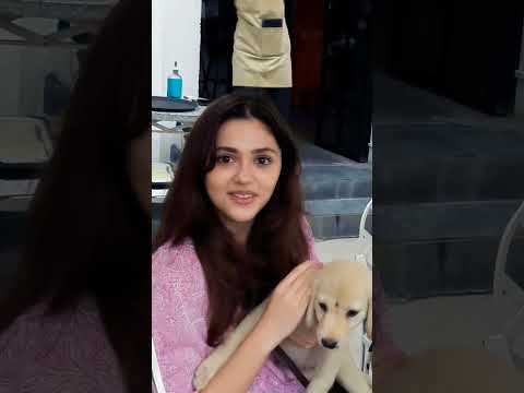 Aneet Padda with pets loving them🥰#aneetpadda #ahaanpanday #love #saiyaarasong #couplestatus #shorts