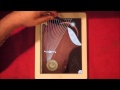 Star Trek Vulcan Harp Demo and tutorial for iPad ...