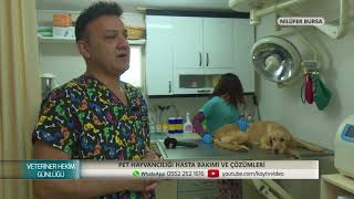 VETERİNER HEKİM GÜNLÜĞÜ | PET HAYVANCILIĞI HASTA BAKIMI