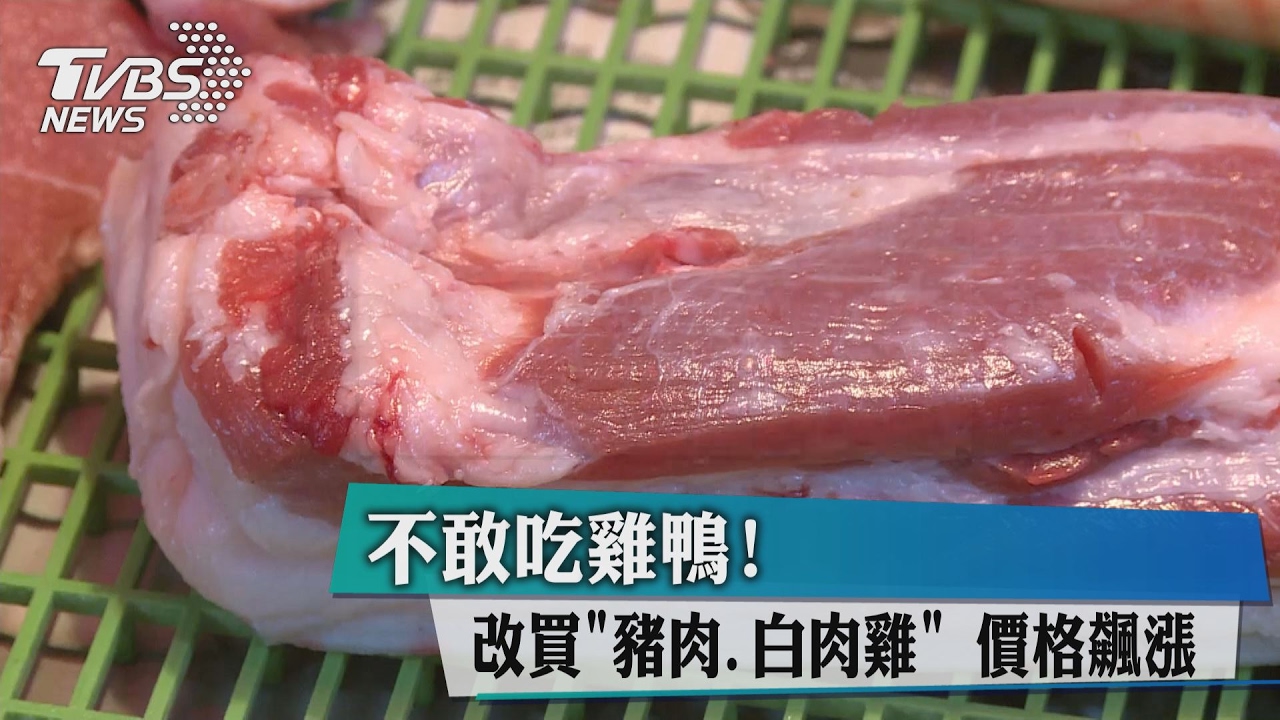 不敢吃雞鴨!改買「豬肉、白肉雞」 價格飆漲