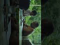 Idukki Maheshinte Prathikaaram Whatsapp Status United Ones Studio