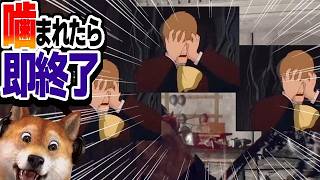 噛まれたら即終了 バイオハザードRE:4 / part398