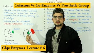 Enzymes Cofactors | Coenzyme vs prosthetic group | Apoenzyme Vs holoenzyme