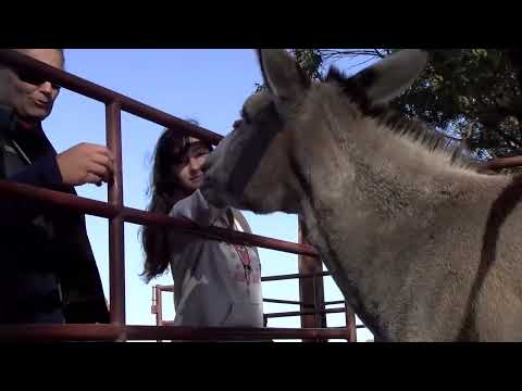 FERNANDO OSPITALECHE - ESTABLECIMIENTO LAS BRUJAS CANELONES BLOQUE 1 JUEVES 17 DE ABRIL DE 2025