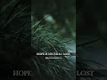 Rain Whatsapp Status Full Screen Reality Of Life Whatsapp Status Rain Whatsapp Status Shorts