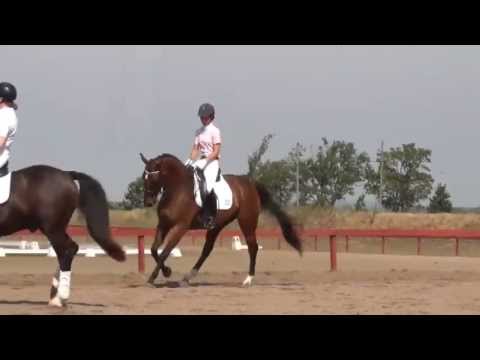 Lovisa och Zivan tävling 2012