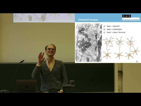 Vorlesung Biologische Psychologie WS22 Sitzung 04