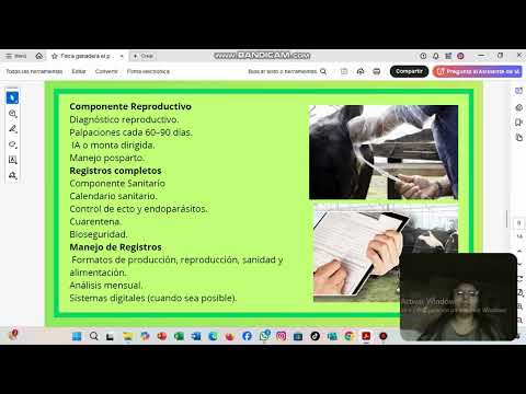 Finca el paraiso ubicada en Caparrapí - Cundinamarca en la vereda Barrial Amarillo