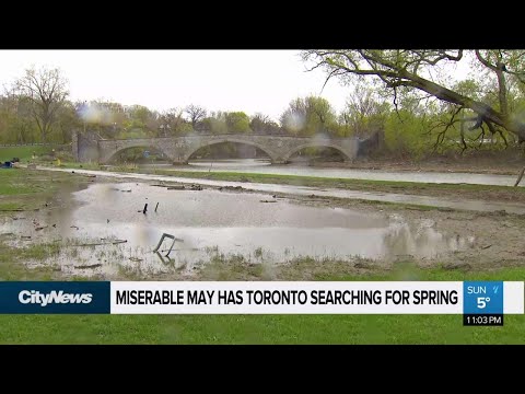 Torontonians fed up with miserable May weather