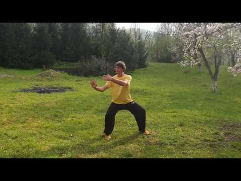 Cezar Culda Taijiquan mana norilor - yunshou
