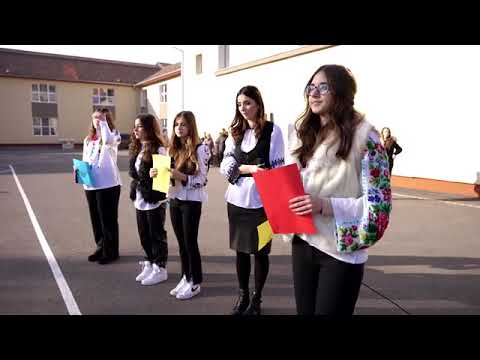 ȘCOALA GIMNAZIALĂ NR.11 ORADEA |     la mulți ani România! la mulți ani românii!! 🇷🇴💙🇷🇴💛🇷🇴❤️🇷🇴