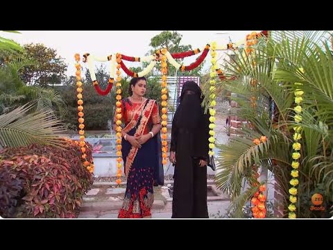 Kalyana Vaibhogam - కల్యాణ వైభోగం - Telugu Serial - EP - 229 - Meghana Lokesh - Zee Telugu