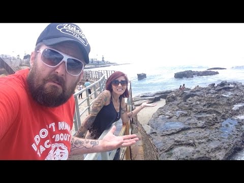 TDW 1168 - HELP ! What Happened to the Sea Lions ?