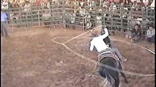 preview picture of video 'Caballos Bailadores en Chowchilla 08/16, 09/06, 10/04, y 10/25'