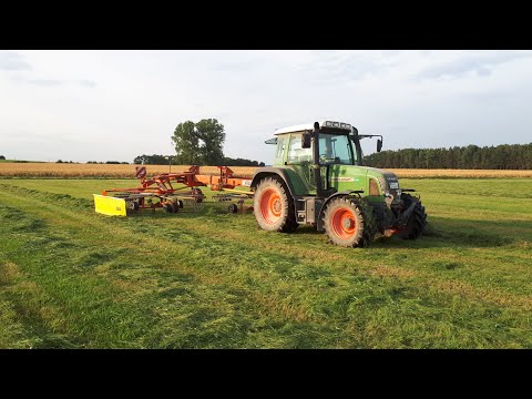 (Sound Pur/Cabview) 3.Schnitt schwadern mit Fendt 409 und Fella TS 1602