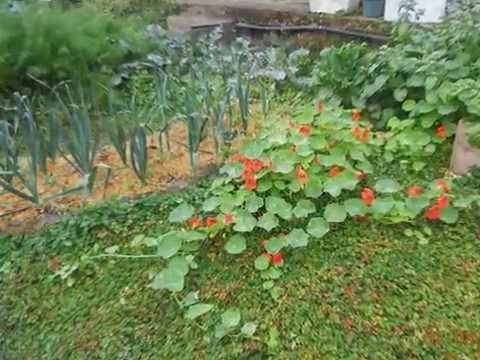 2014.03.02 嘉道理農場