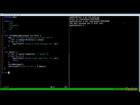 Troubleshooting Go Application Development Concrete Type Versus Dynamic Type | packtpub com