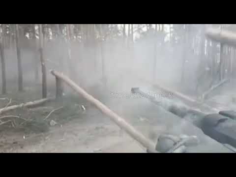 BMP 2 Cutting trees with main gun