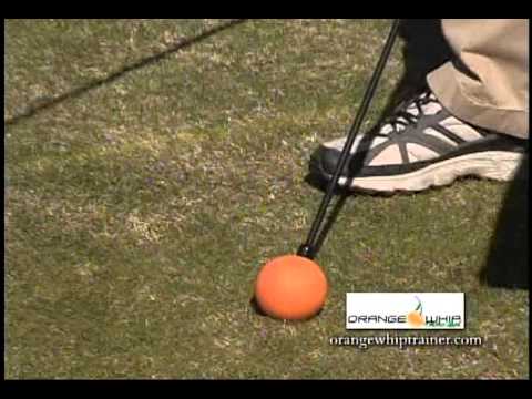 Orange Whip Trainer, 2010 PGA Show