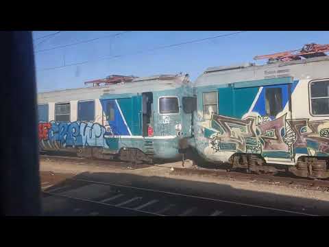 Incredibile a Siracusa; Caimano in testa a ICN e cimitero treni in entrata stazione. (Giugno 2020)