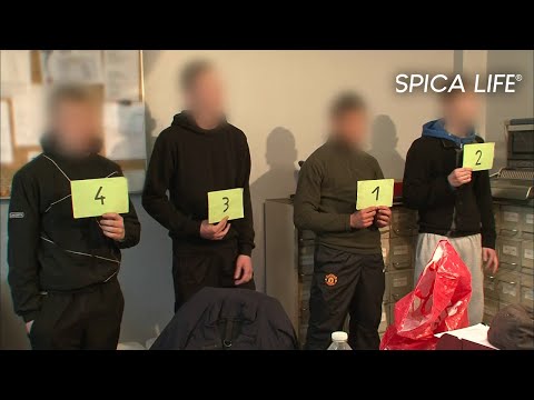 VALENCIENNES : les nouveaux caïds qui font trembler la ville