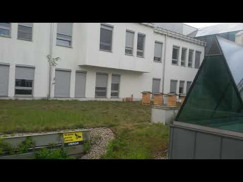 Ule na dachu na nielegalnym kampusie Uniwersytetu w Białymstoku? Kolejny przekręt z dotacjami?