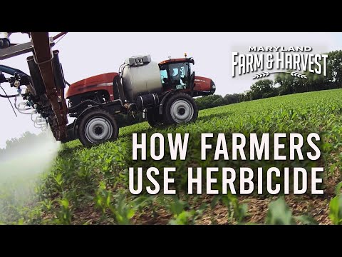 How (and Why) Farmers Use Herbicide  |  Farm & Harvest