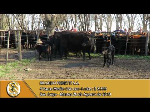 28-08-18 Venta de Vientres - Ricardo Peiretti S.A. - San Jorge.