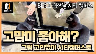 유튜브썸네일4