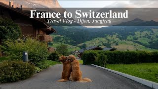 Travel Vlog pt 3 | France to Switzerland | Golden Retrievers | Dijon | Jungfrau |융프라우
